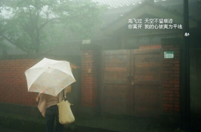  鸟飞过 天空不留痕迹 你离开 我的心被夷为平地 - 你记得我的哪一面, 那么你又了解我几分