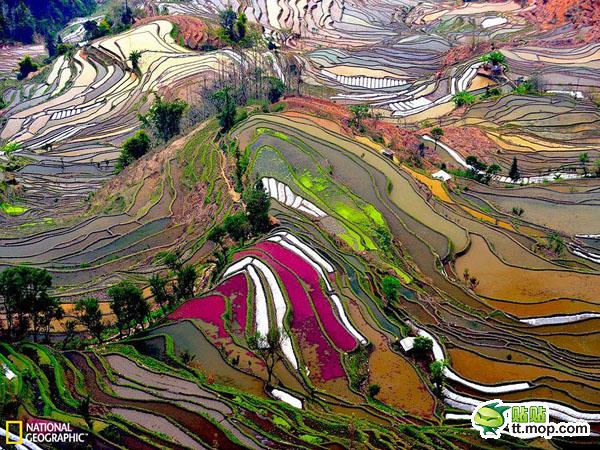 云南绝美水稻梯田 摄影师：Thierry Bornier, My Shot