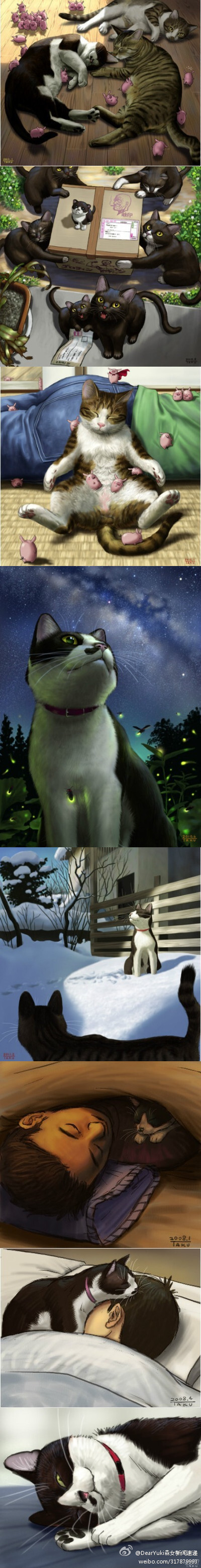 日本插画师matataku笔下的猫，小家伙憨态可掬的样子真让人喜欢