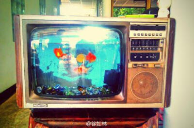 用旧电视做了个鱼缸
