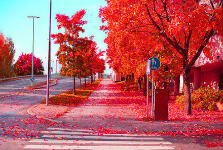 瑞典首都斯德哥尔摩的秋天~~