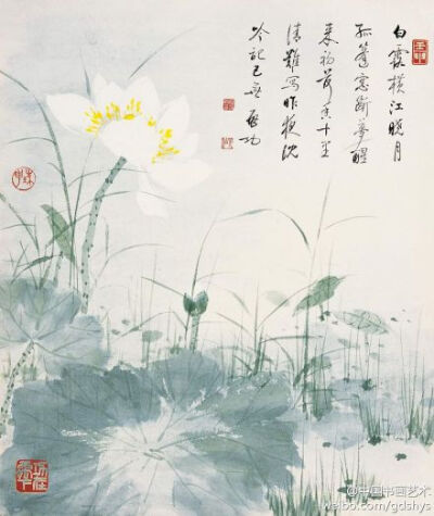 启功《白荷》--- “白露横江晓月孤，篷窗断梦醒来初。荷香十里清难写，昨夜沉吟记已无。”