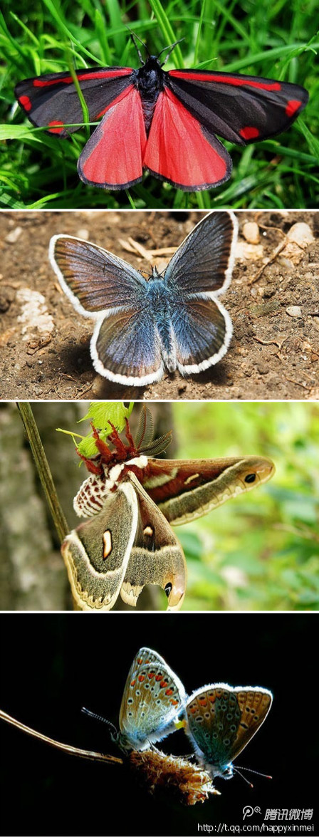 人的一生，如果真的有什么事情叫作无愧无悔的话，在我看来，就是你的童年有游戏的欢乐，你的青春有漂泊的经历，你的老年有难忘的回忆,哈哈,我的旅途,我的漂泊,我的回忆