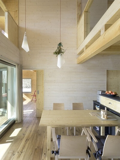 House on the Marsh by A1Architects