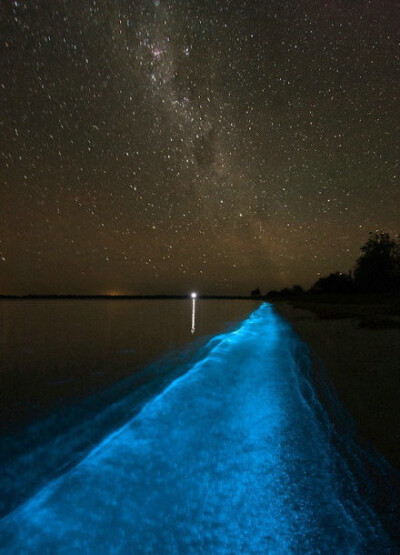 冲绳岛的神奇夜光海沙