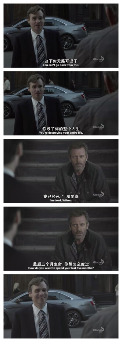 House & Wilson。