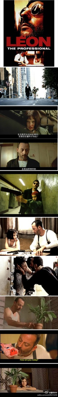 这个杀手不太冷啊、~