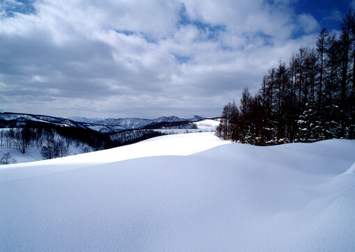 冰雪天地