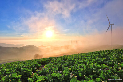 Photograph Sunrise by Hyunwoo Park on 500px