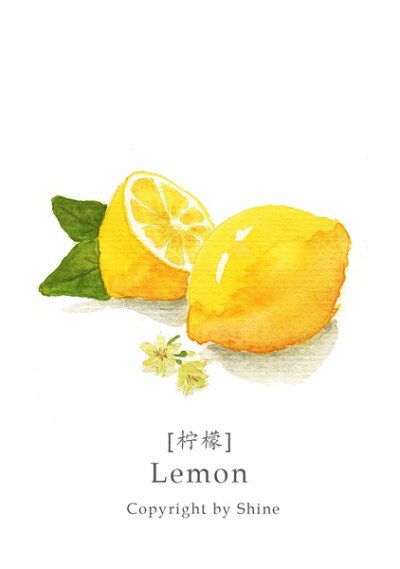 【shine 水彩】柠檬