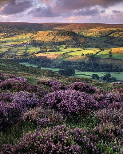 Rosedale, North Yorkshire, England by Ross J Brown