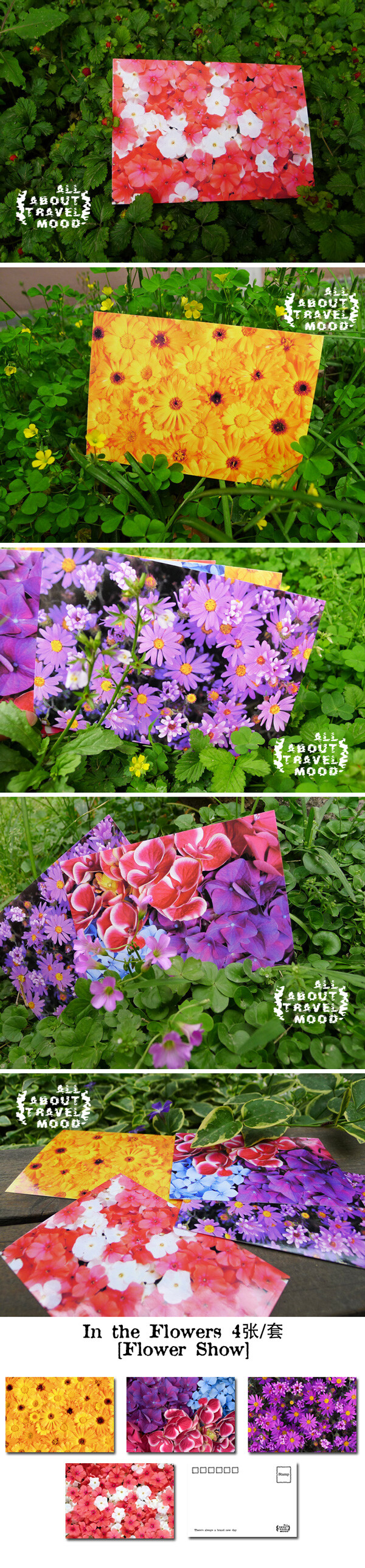 [Tmood] In the Flowers & FlowerShow花丛中 明信片 4枚