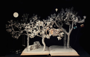 BOOK  cut