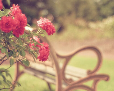 让我们先学会安静吧