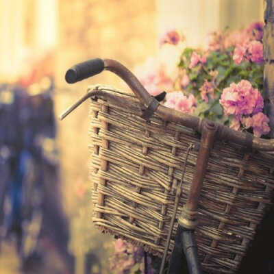 让我们先学会安静吧