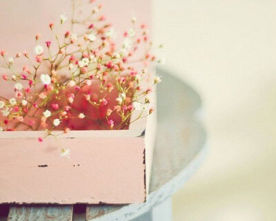 让我们先学会安静吧