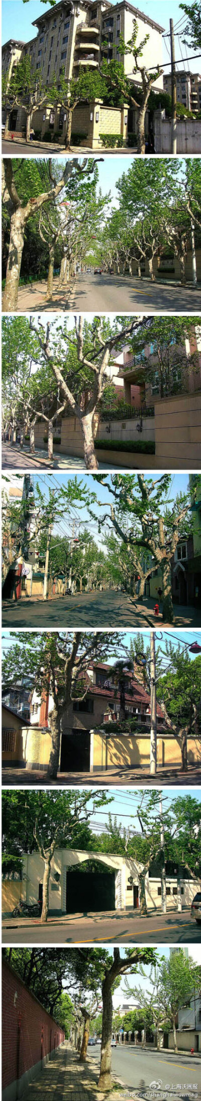 【湖南路】东起淮海中路，西至华山路。没有到过湖南路的人，很难体会到上海老马路的静谧和幽雅。一条不算狭窄的路，斜斜地延伸着，那么的不事张扬，有着与世无争的淡然气质。马路两旁的老建筑里装满了传奇故事，街边…