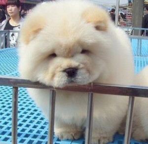 唔。。。你说什么？