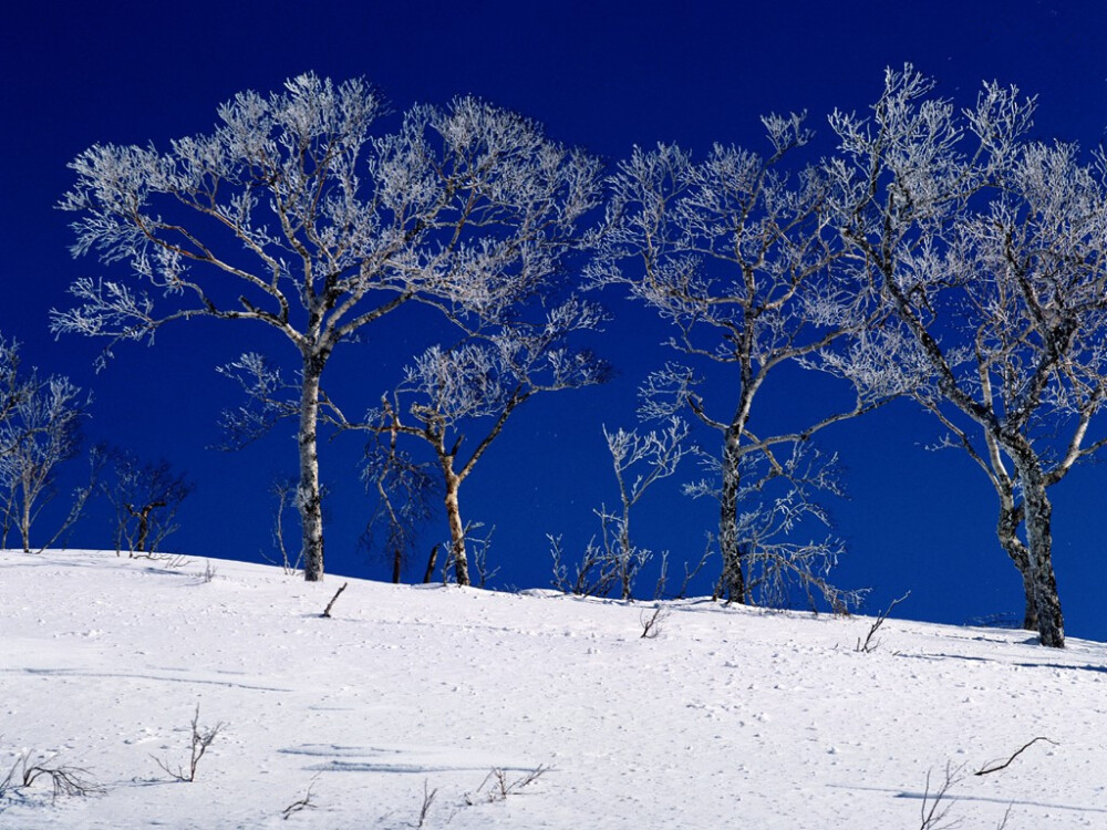 北海道~啦啦~