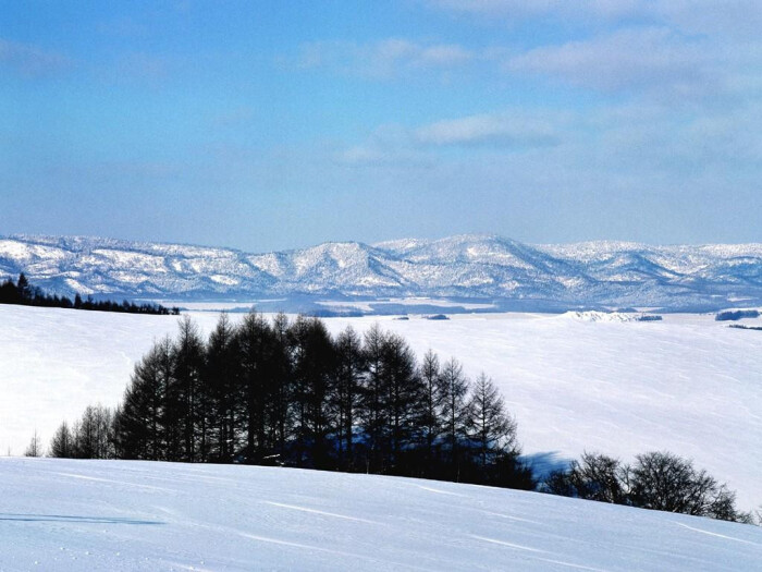 北海道雪景 堆糖 美图壁纸兴趣社区