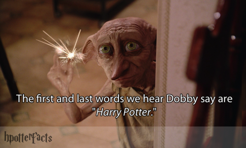 The First snd last words we hear Dobby say are ‘ Harry Potter ’