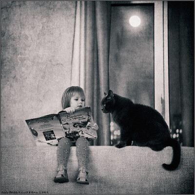 黑白摄影作品欣赏-我与窗前的猫
