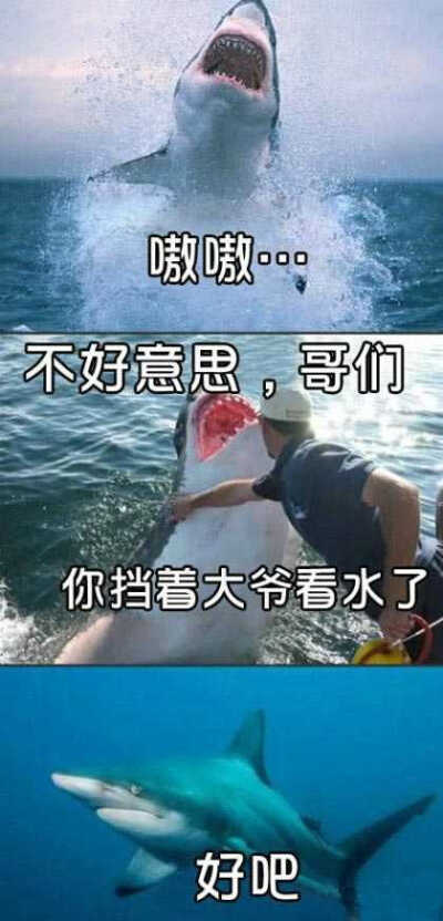 天啊啦...是贝爷？！！