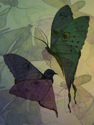 by 插畫家Colleen Parker