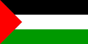 巴勒斯坦国（The State of Palestine）。