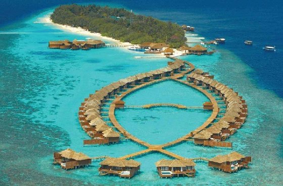 马尔代夫度假村 图片信息： 560×368 该图片由aaron089贡献 来自马尔代夫词条 - 马尔代夫度假村图册 马尔代夫词条图册