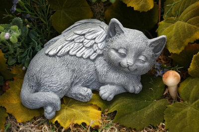 Cat Angel - Sweet Dreams at The Rainbow Bridge