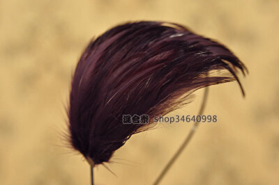 Alexander Mcqueen羽毛发箍 风靡欧洲奢华世界的新宠 Erica款 含蓄内敛的深紫罗兰色和皇冠金属配件都赋于这款发饰浓郁的俄罗斯贵族气息。