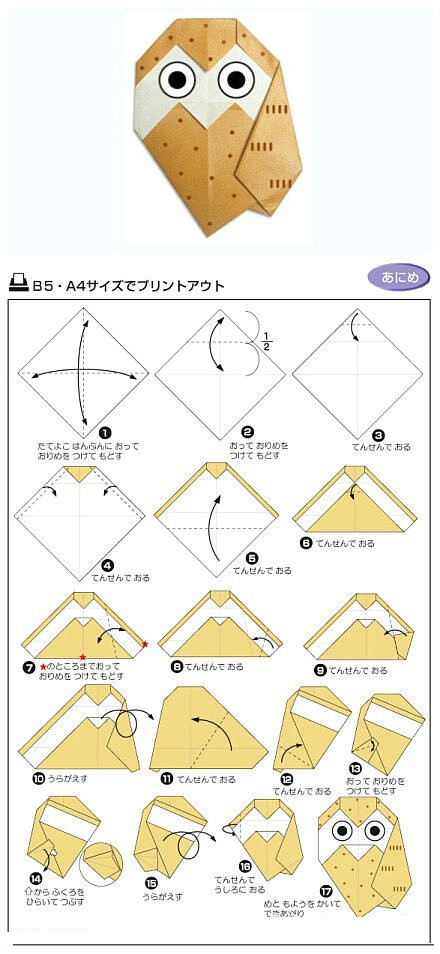 小猫头鹰折纸教程。【阿团丸子】