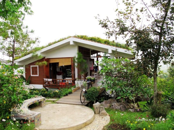 绿色的小屋
