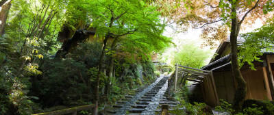 京都旅馆 水边私宅