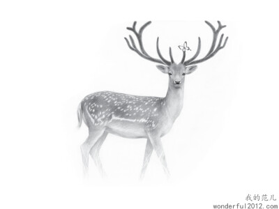 鹿：对细节极致的追求，造就了画中梅花鹿跃然纸上，活灵活现。 艺术家：友雅 www.5dfanr.com