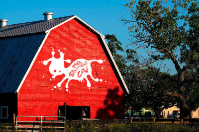 可爱的牛奶品牌设计