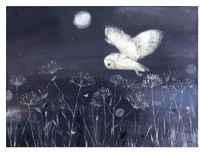 插畫家 Lucy Grossmith，穀倉貓頭鷹