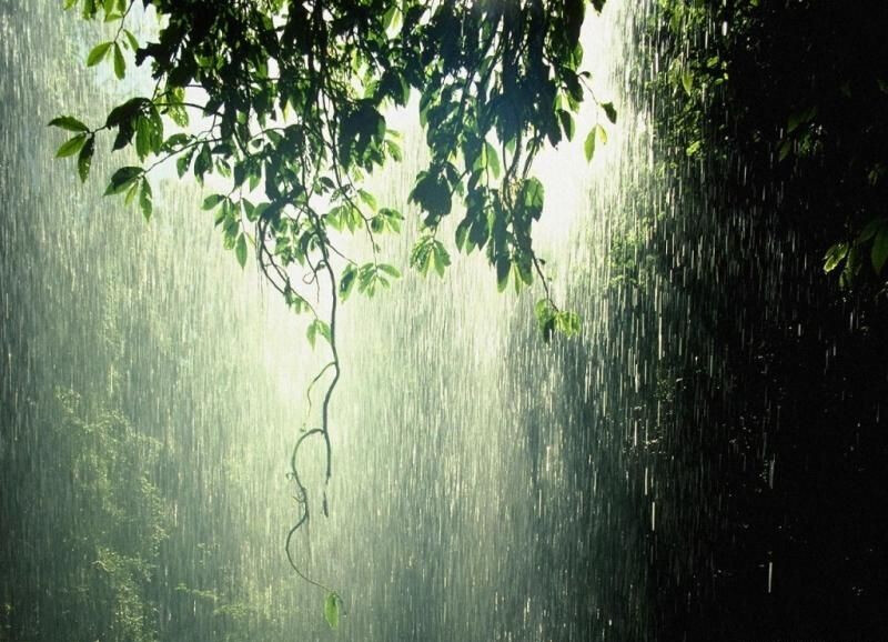 在暴雨中奔跑，没有伞，没有雨衣，短衫短裤，这是我与大自然最亲密的接触吧！     雨点疯狂地打在我身上，我拼命往前跑，往家跑，像在逃命，畏惧、害怕，似乎慢一步就会被暴风雨吞噬……