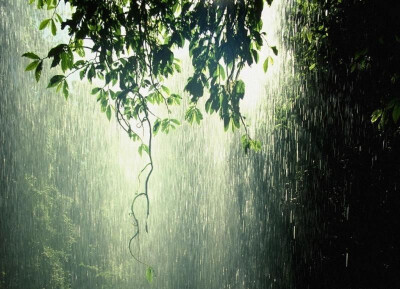 在暴雨中奔跑，没有伞，没有雨衣，短衫短裤，这是我与大自然最亲密的接触吧！     雨点疯狂地打在我身上，我拼命往前跑，往家跑，像在逃命，畏惧、害怕，似乎慢一步就会被暴风雨吞噬……