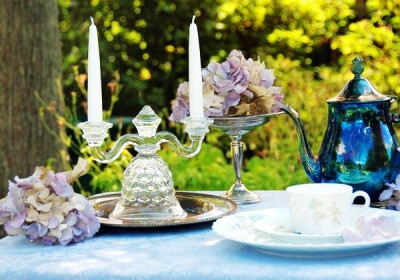 花园中最美的风景~