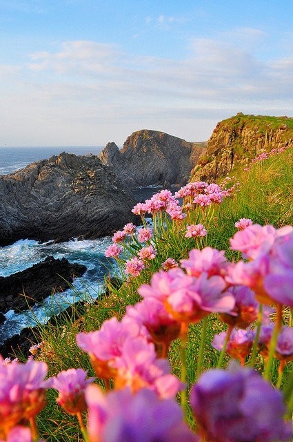 面朝大海，春暖花开