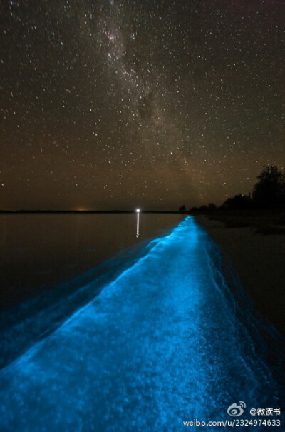 夜空中遥望,那曾经最亮丽的星座,是思念在银河的沙滩上优美的足印,现在却也早已被雨水化去,永恒蔓延成了失眠。