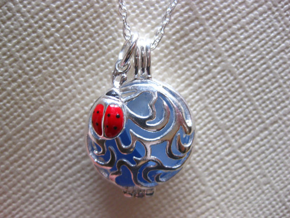 SS Ladybug lovers Locket SS necklace