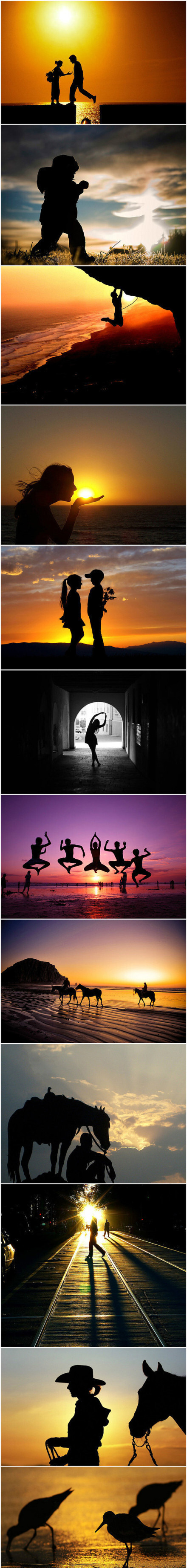 剪影是阳光绣出的艺术品，金黄而深邃，明媚而妖娆。