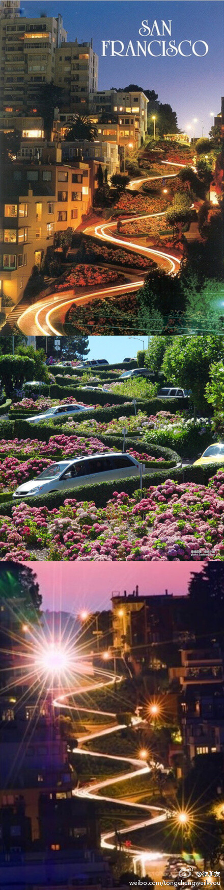 弯弯的路 看遍灿烂的花.