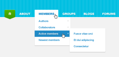 Drop Down Menu Navigation