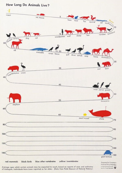 动物们的生命之路都有多长？