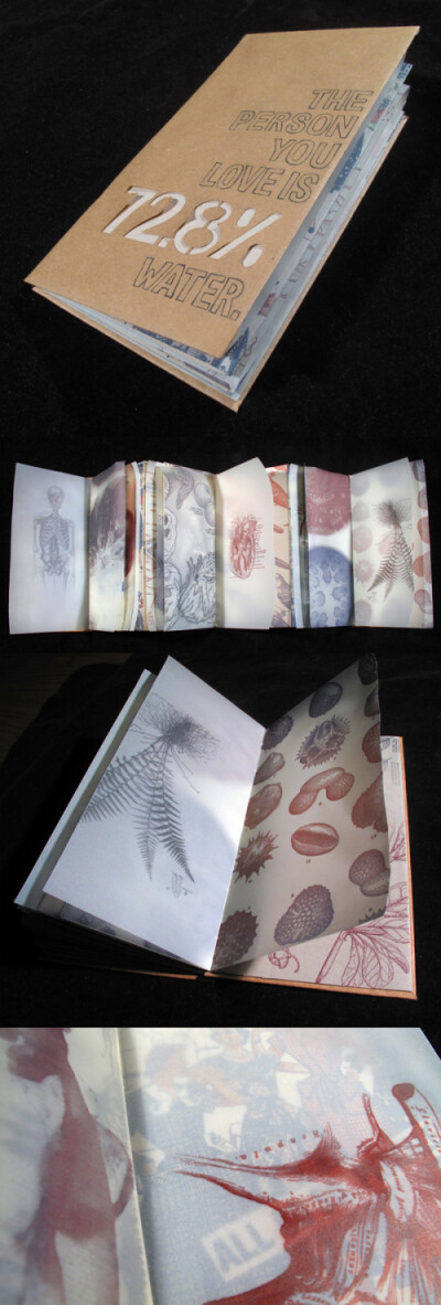 创意,设计,视觉,插画,艺术