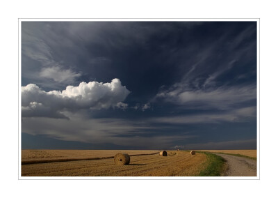 Weites Land von Steffen Nitzsche